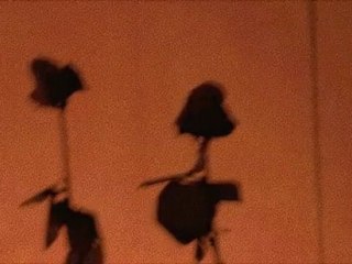 Doris Stricher to Ernst koller