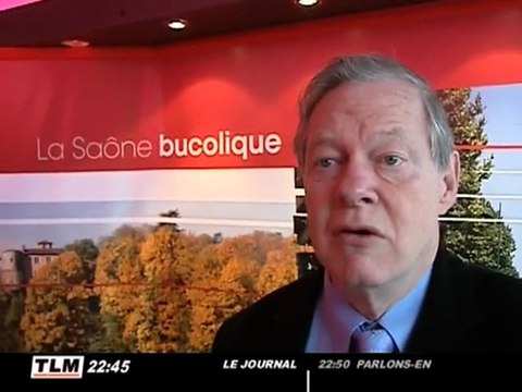 Une exposition consacrée aux rives de Saône (Lyon)