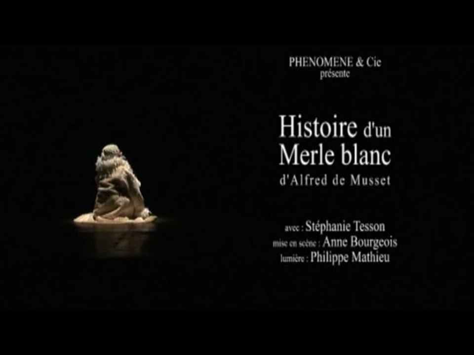 Histoire d'un MerleBlanc