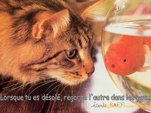 La tendresse et l'amitié serait de voter pour Raff