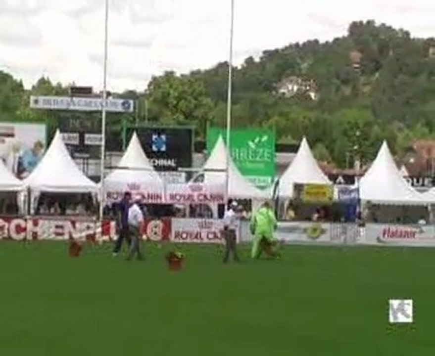 Tayzone du Calvaire aux Acacias Finale 2009