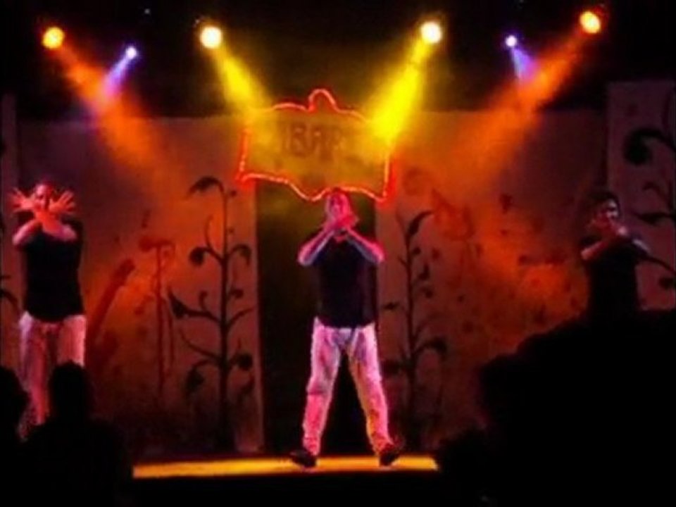 THE SHOW