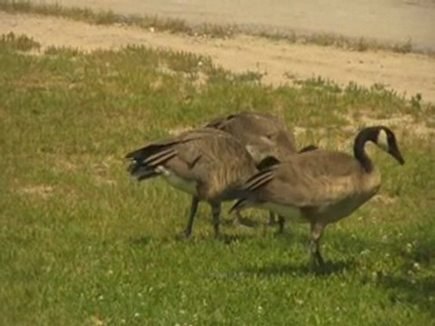 Centennial College CSTC Orientation Students