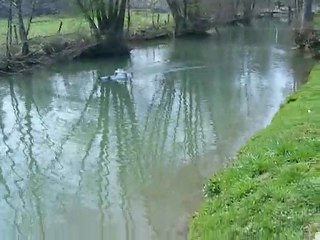 bateau rc remorqueur