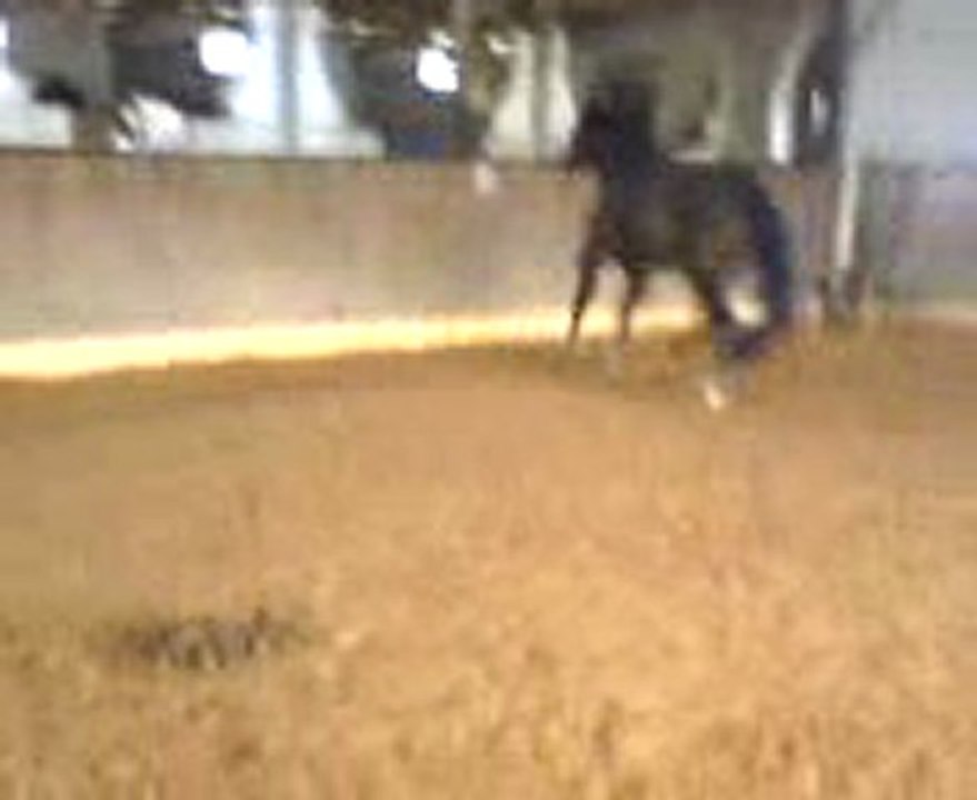 Galilée il y a 2ans