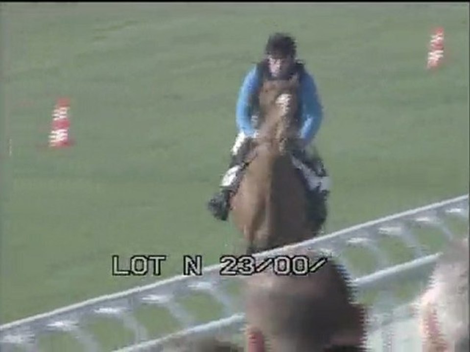 Lot 3