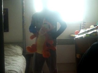 Prises de catch des champions de la WWE