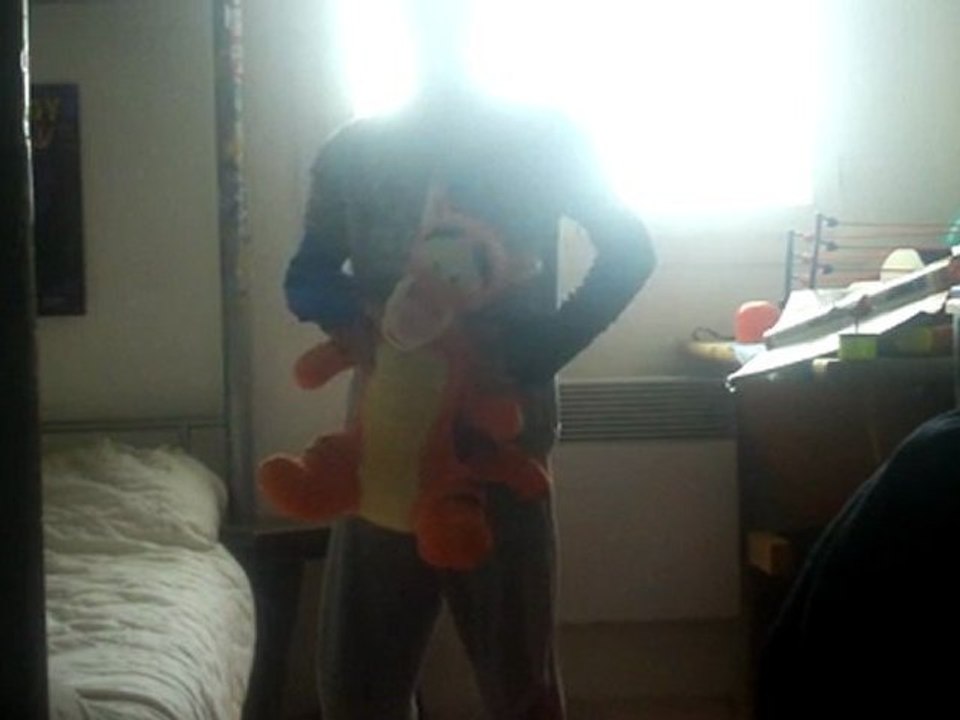 Prises de catch des champions de la WWE