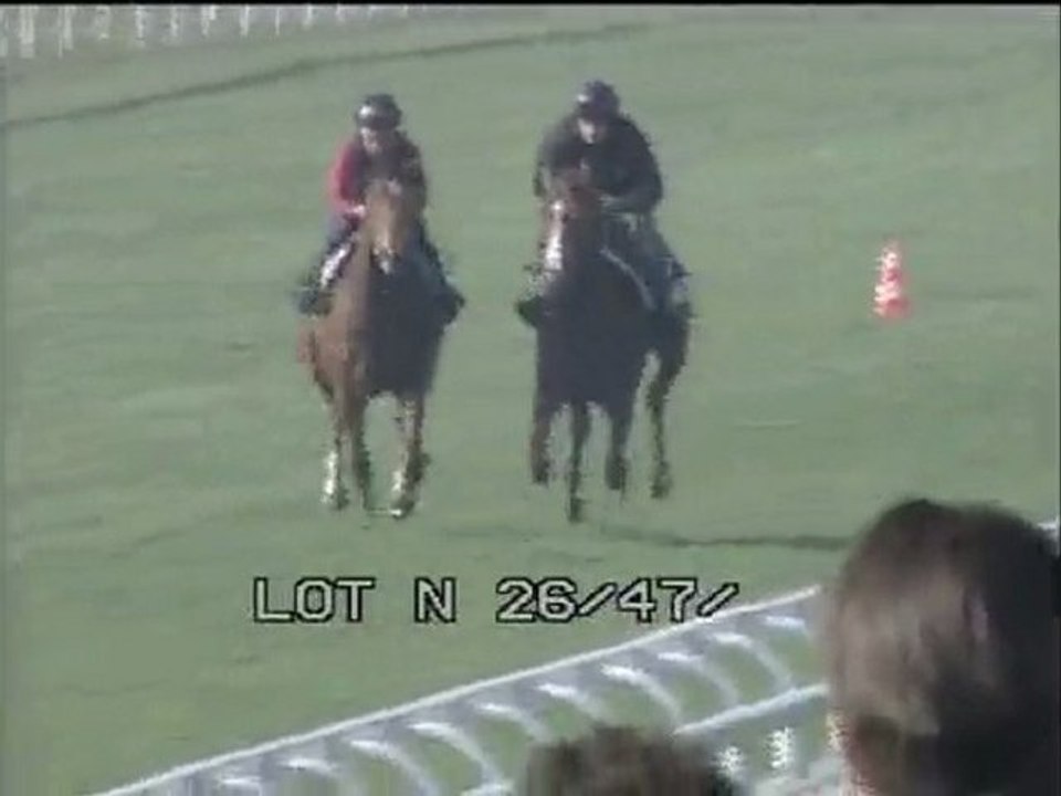 Lot 4