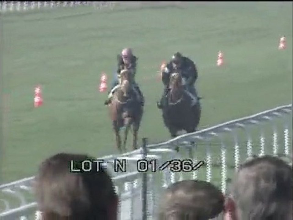 Lot 5
