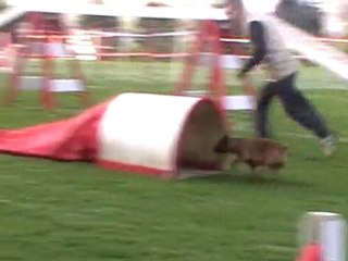 open d'kaina hanches