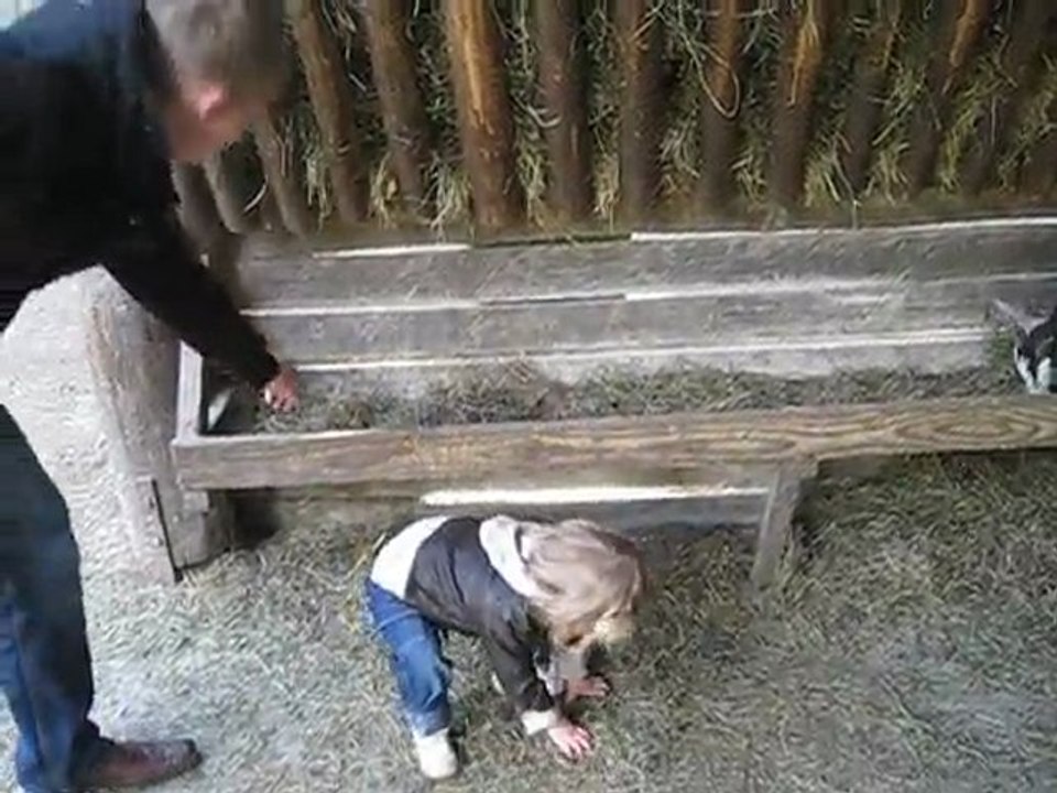 Lili et les chêvres