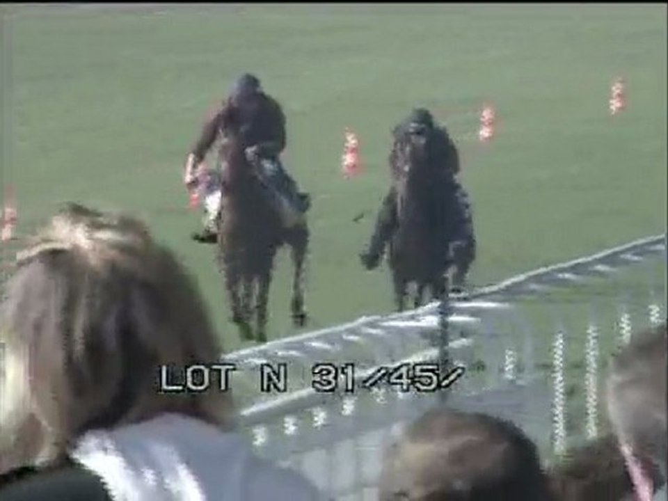 Lot 10