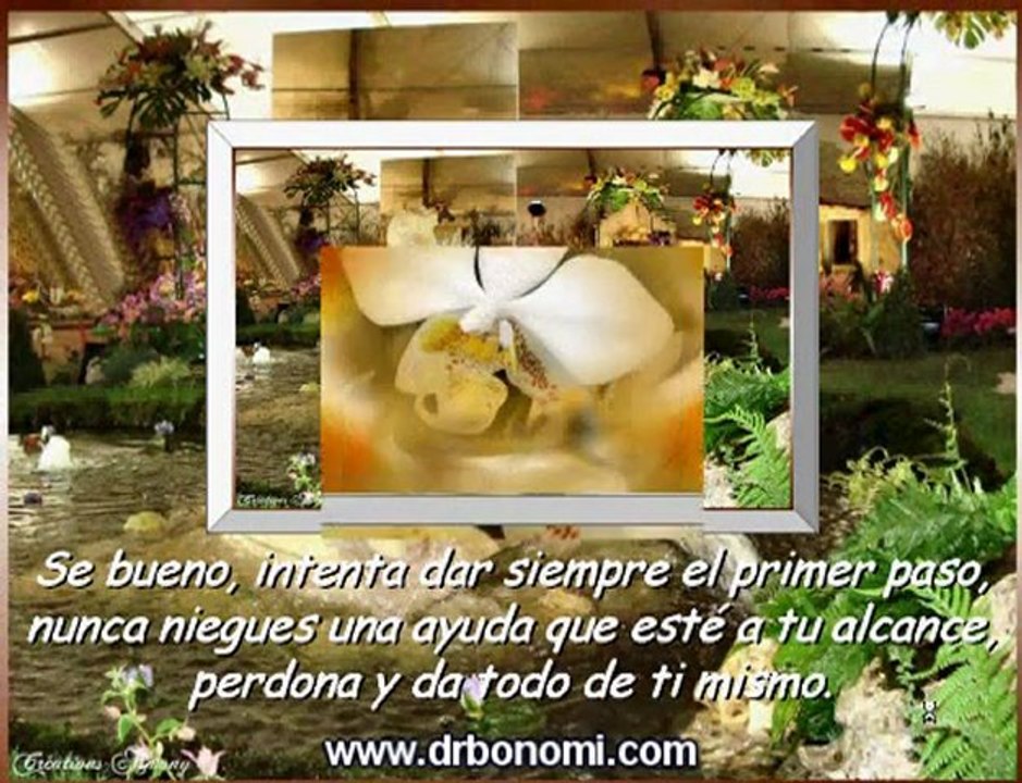 144 El Secreto resumen, video y dvd