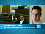 Karadzic trial: FMR Bosnian leader at court in The Hague