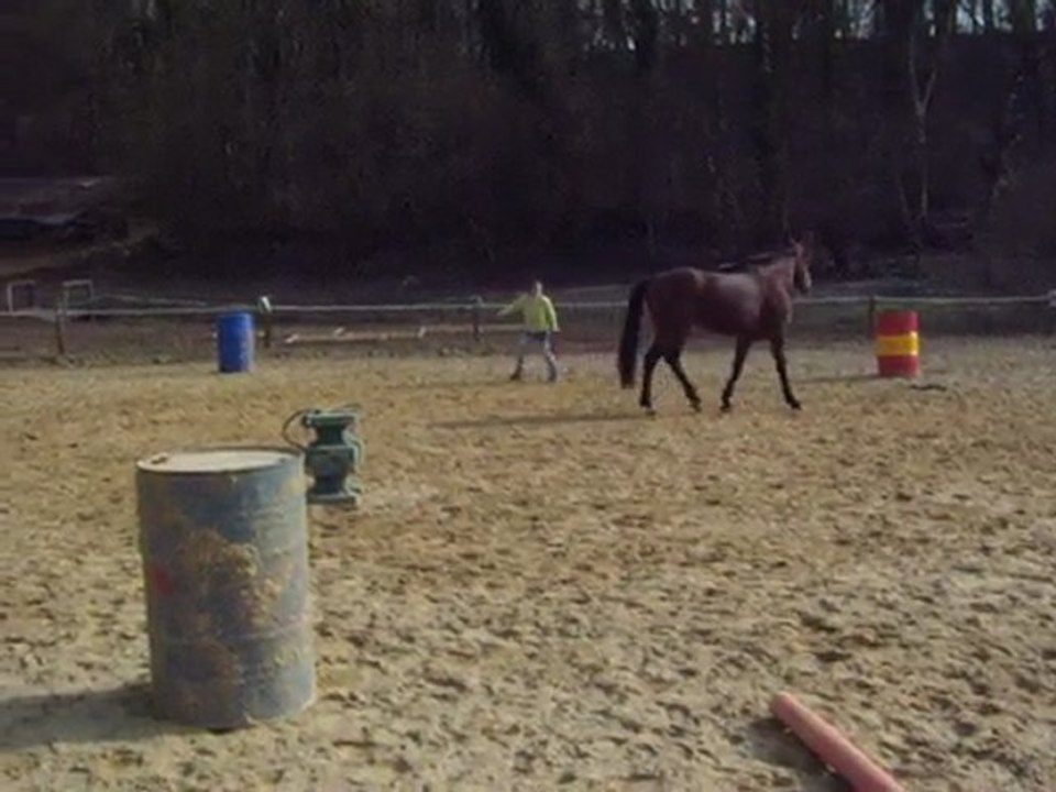 Ténor longé le 23.03.10