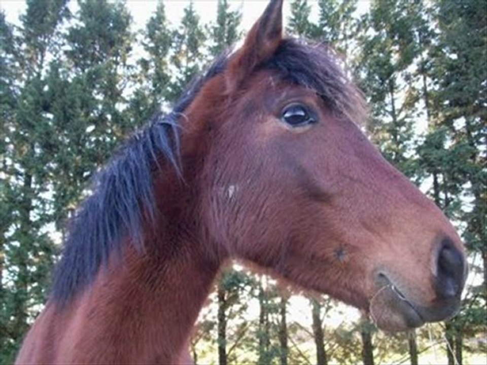 nous =)