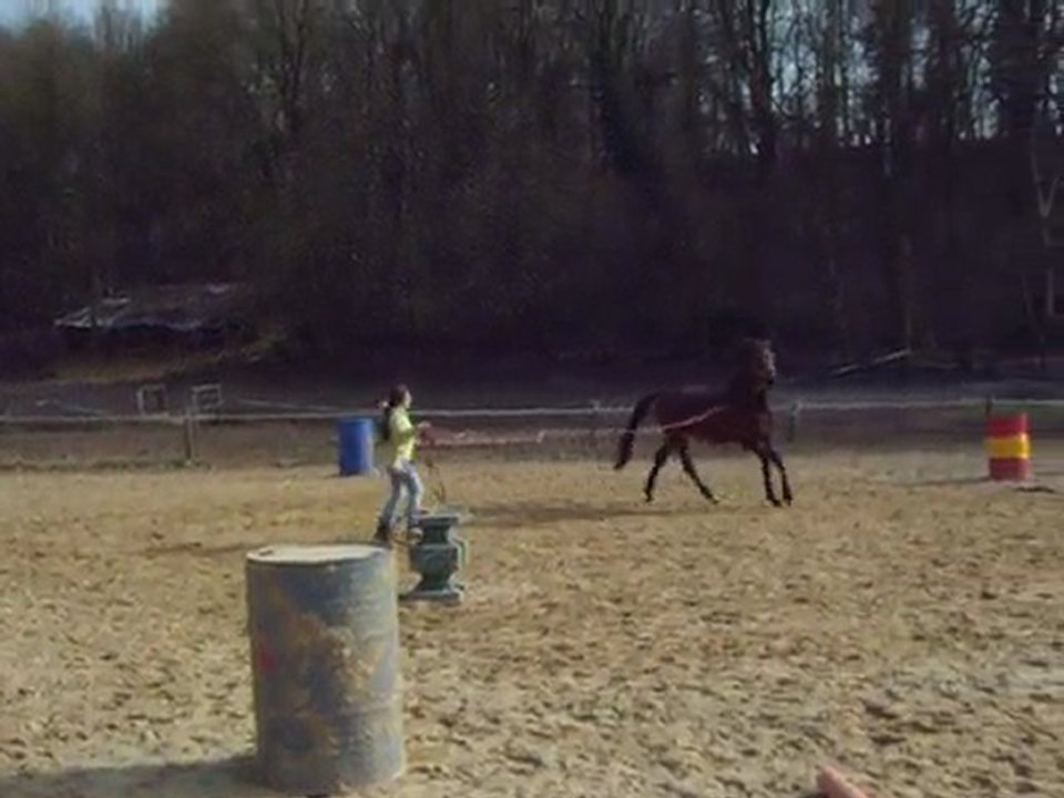 Ténor longé le 23.03.10  *2*