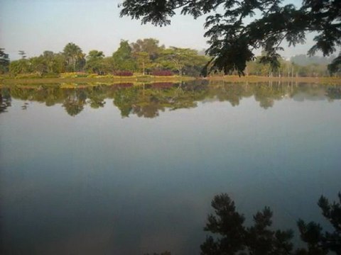 Kota Kinabalu, Sabah, Borneo. March 2010