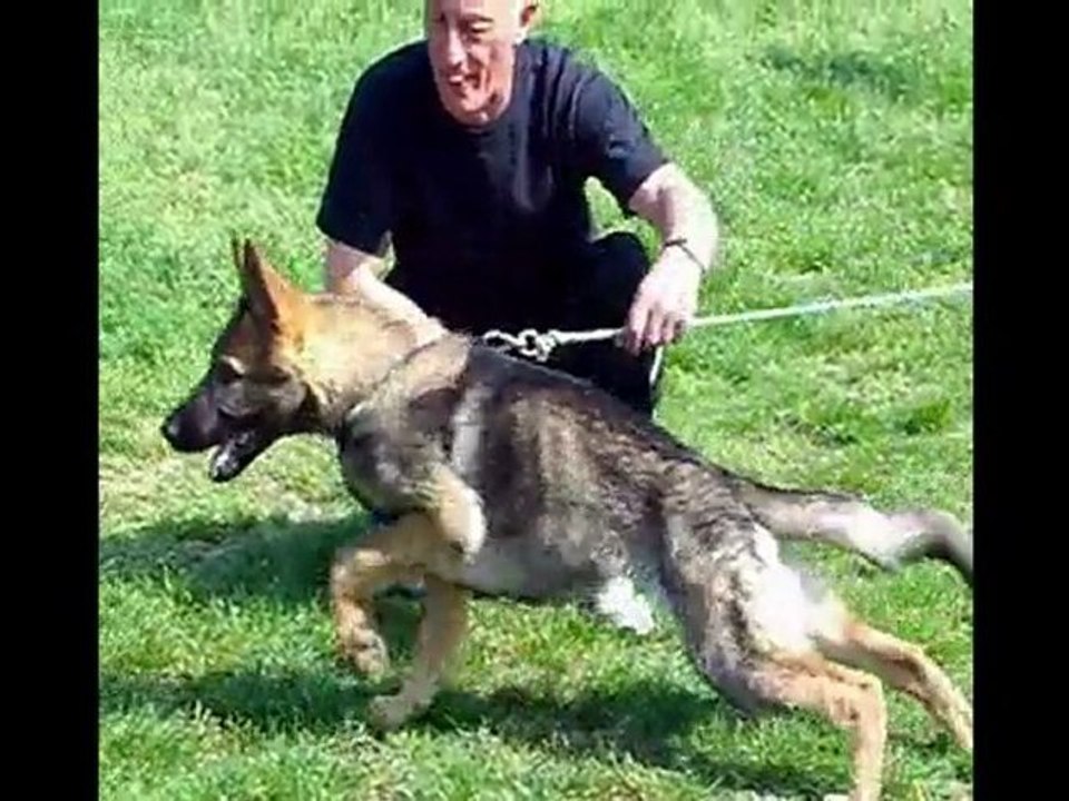 eik des collines du temps