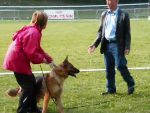 BAIKA LICES DE PRINTEMPS 2010