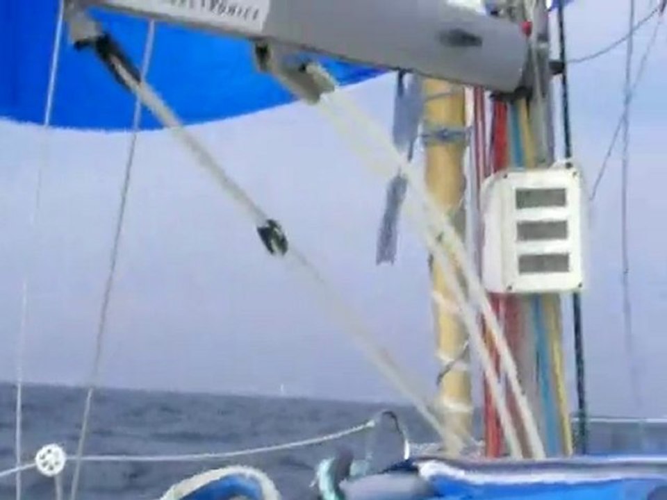 Pogo 8.50 Epsilon 3D - Noix de Coco/Epsilon3D