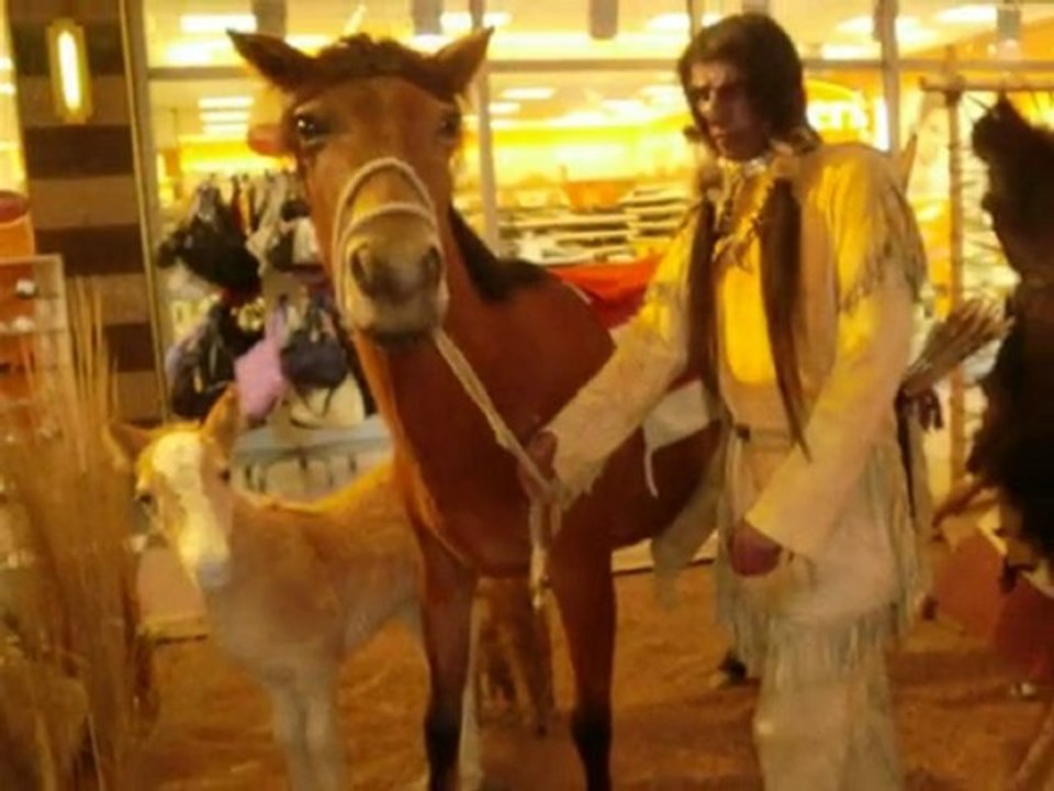 Fotostory31HEP-Halle/Saale  V. v. B.Elstermann