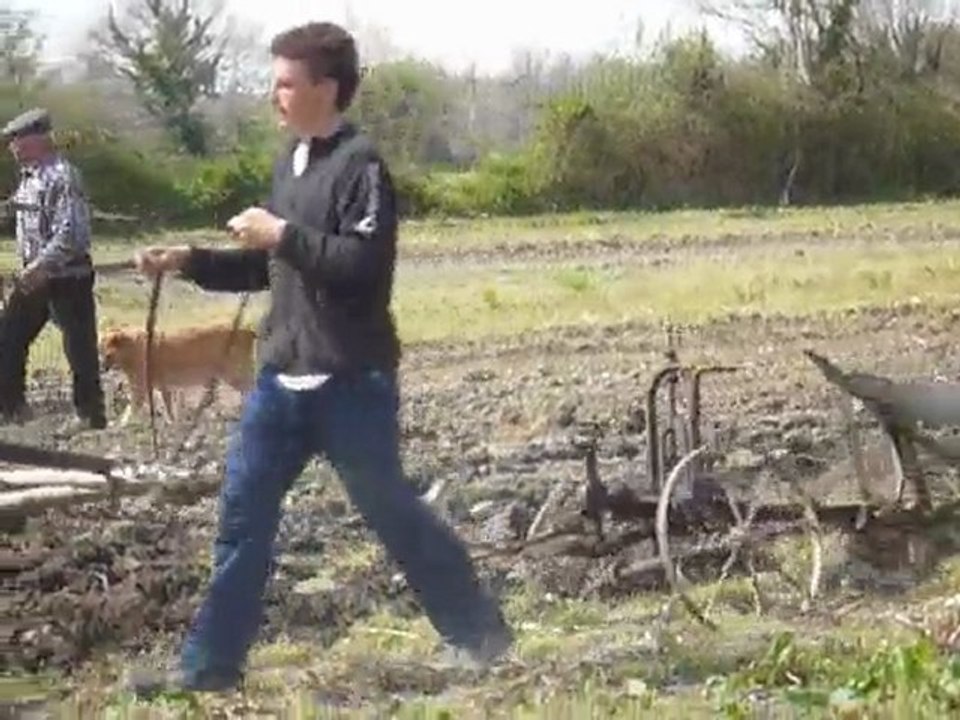 labour à l'ancienne