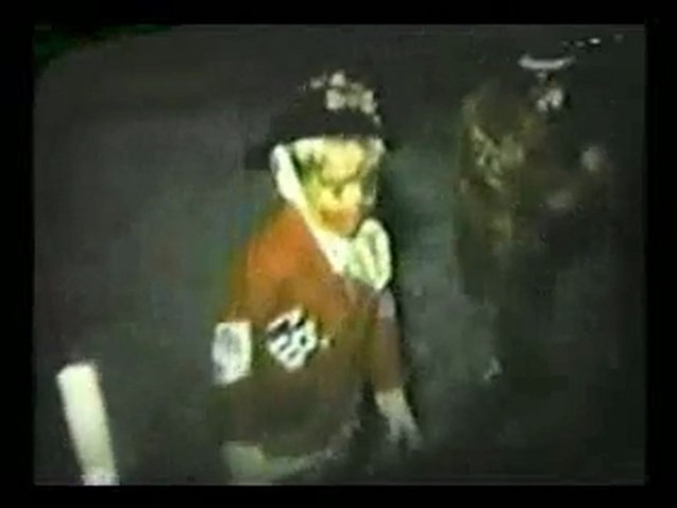 Oldies, the video