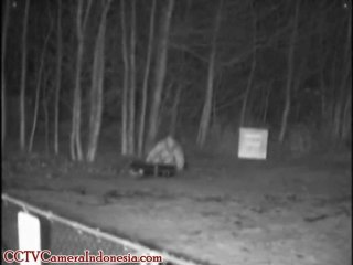 WZ20 IR Bullet Camera