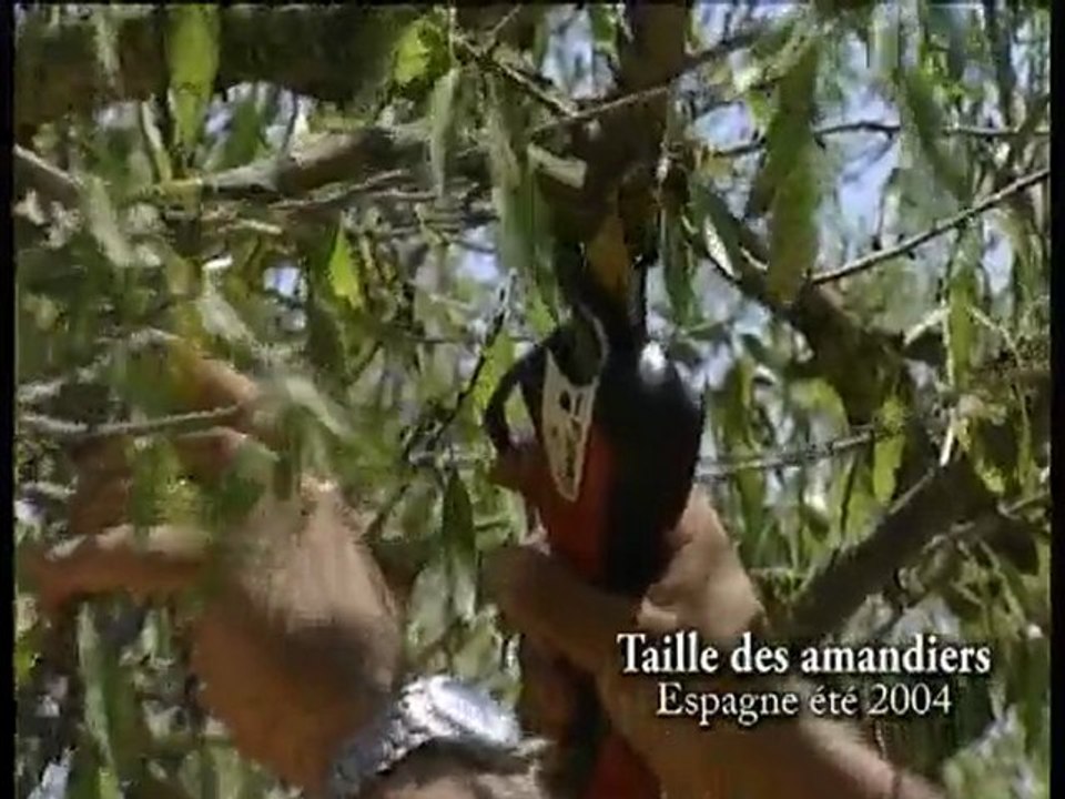 Infaco - Présentation du sécateur électronique F3005