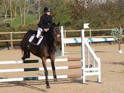 11/04/2010 Concours de saut Dompierre la maison du poney