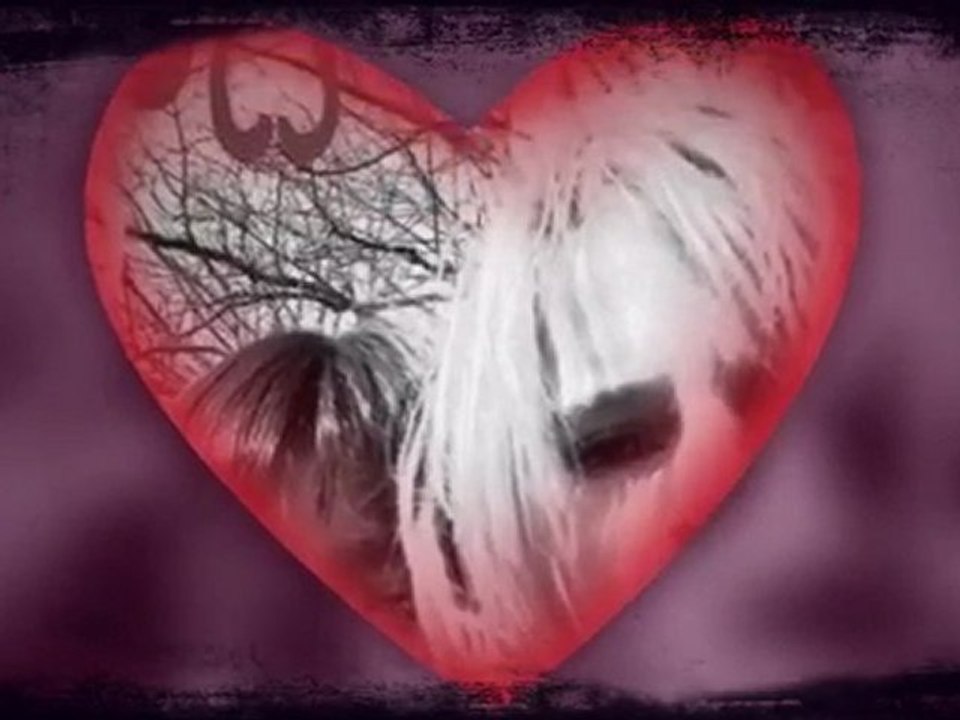 meilleure amies pour toujours ...