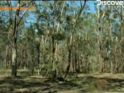 Life in Cold Blood [Dragons of the Dry] -14th April 2010 Pt1