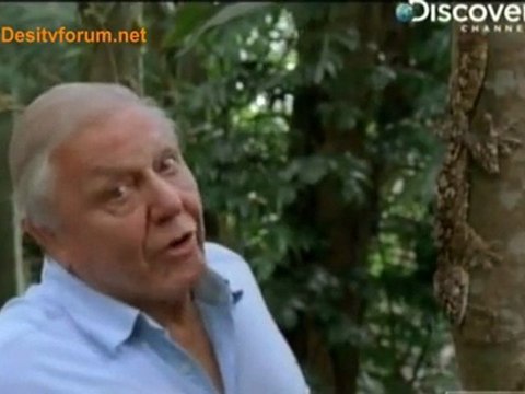 Life in Cold Blood [Dragons of the Dry] -14th April 2010 Pt2