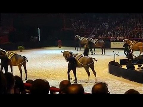 la Cadre Noir de Saumur Novembre 2009