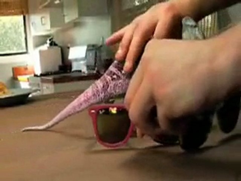 Chameleon