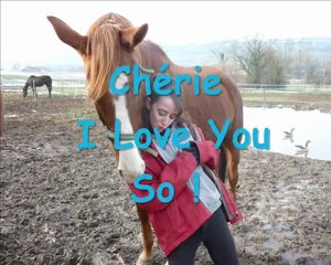 indiana clip officiel " perdue sans toi "