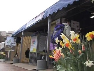 Poissy fête le développement durable