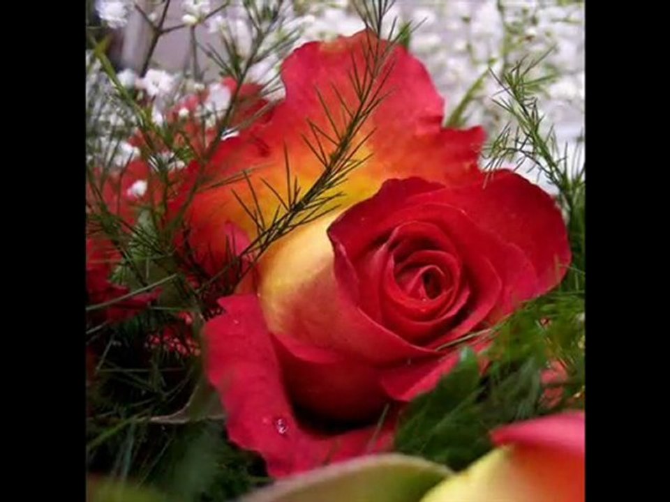 biz aynı bulutların yağmurlarıydık..