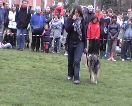 Ecole Vétérinaire Maisons Alfort