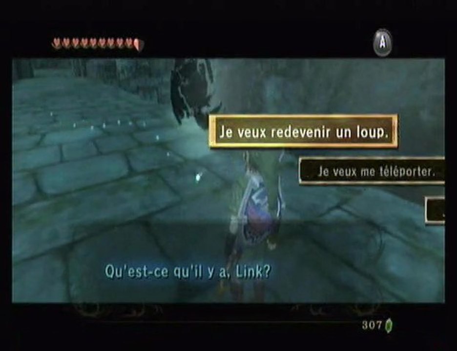 Zelda : Twilight Princess - 24 : L'amnésie d'Iria