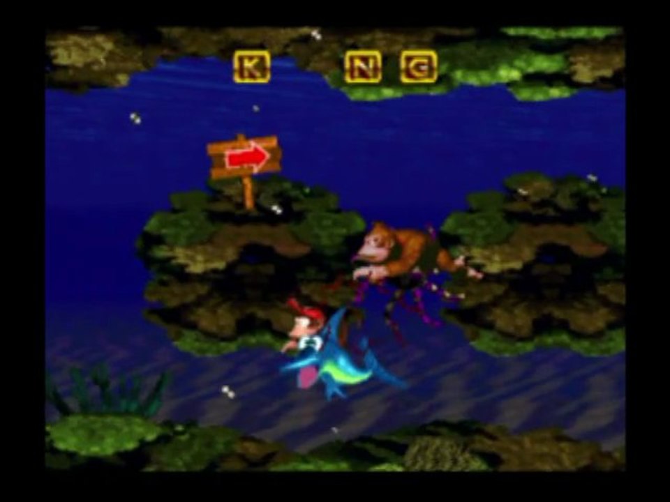 DONKEY KONG COUNTRY - AQUAZONE
