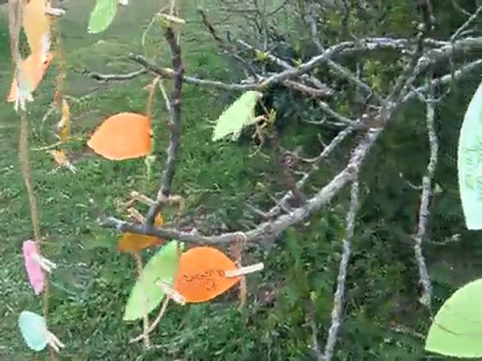 Ateliers d'écriture - Forêt des enfants