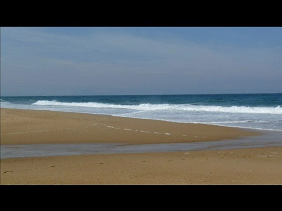Plages Landaises avril 2010