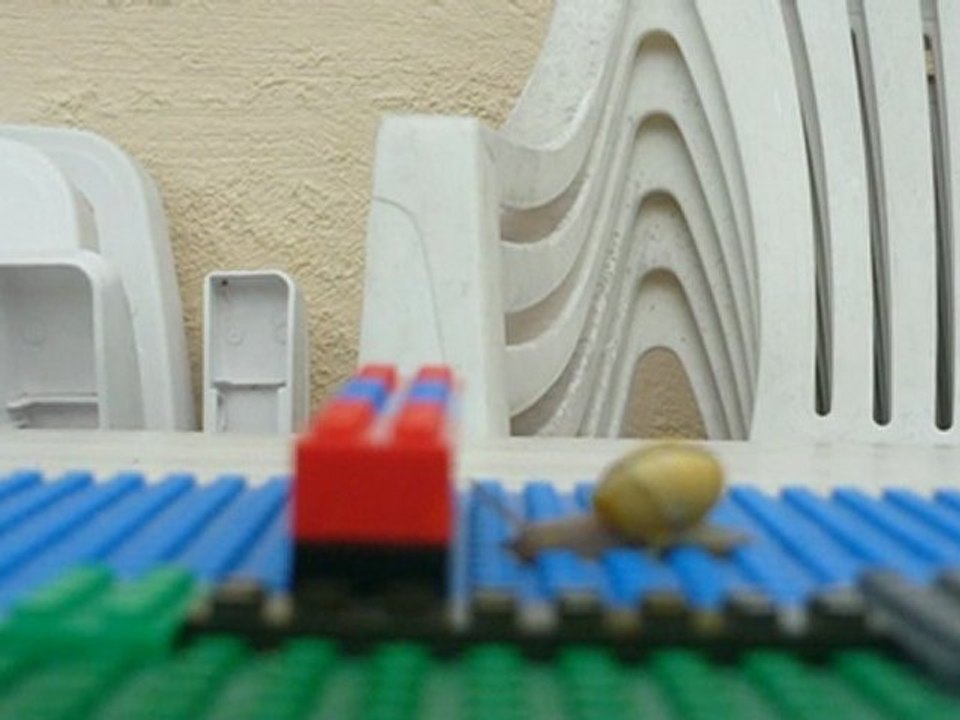 Qui a dit que les escargots ça faisais pas du parkour