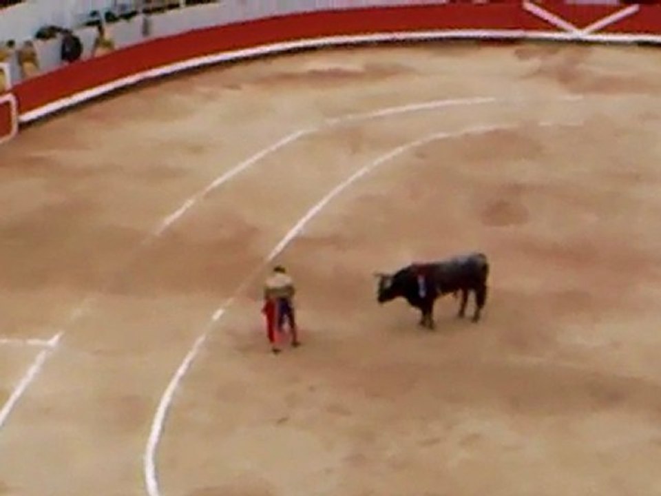 Arles 2010: Padilla Miura