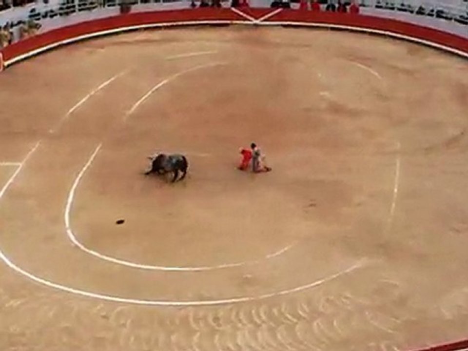 Arles 2010: 2d Miura de Mehdi Savalli