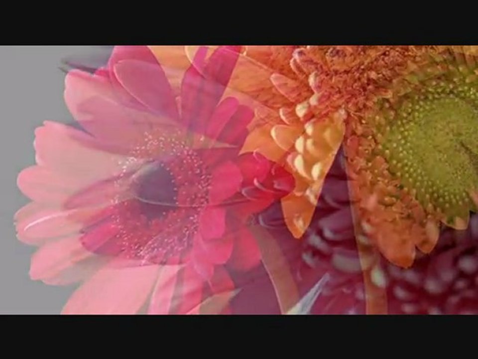 Grow Your Own Plants From Seeds