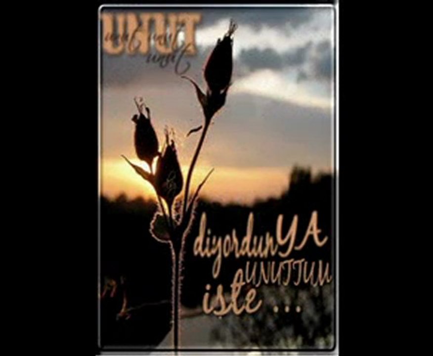 Unuttum iste-Gullu